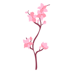 Cherry blossoms nature Transparent PNG