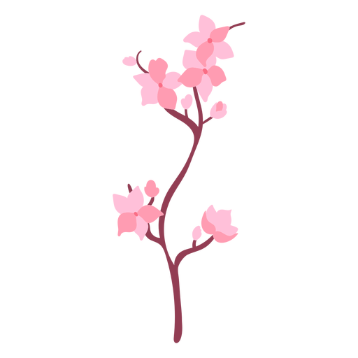 Cherry blossoms nature PNG Design
