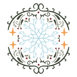 Snowflake ornamental design flat Transparent PNG