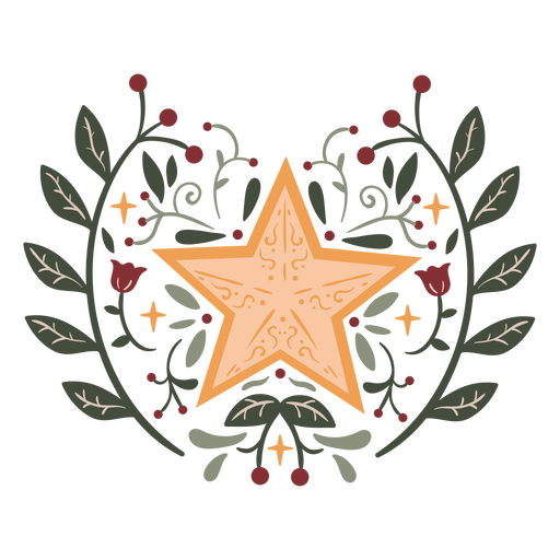 Trazo de color de diseño orgánico estrella Diseño PNG