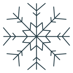 Snowflake winter cold icon PNG Design