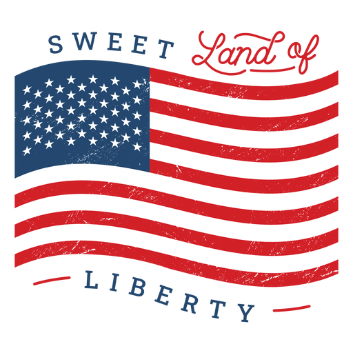 American flag badge