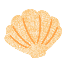 Seashell ocean hand drawn Transparent PNG