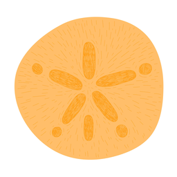 10_Nature_Ocean_HandCutSimpleShapes_Print - 6 PNG-Design