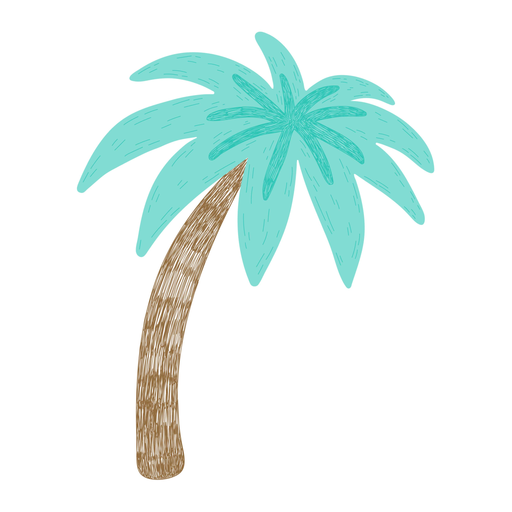 Palm tree tropical hand drawn