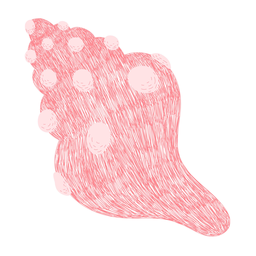Pink seashell hand drawn PNG Design