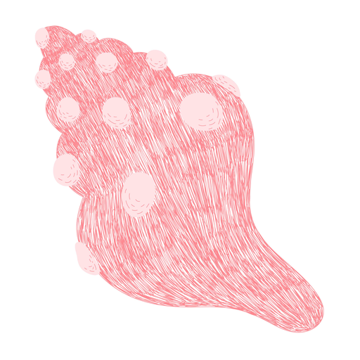 Pink seashell hand drawn