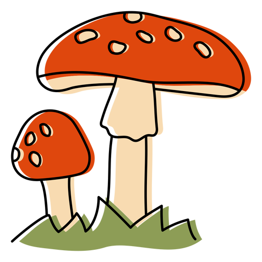 Red mushrooms nature