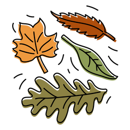 Colorful autumn leaves Transparent PNG