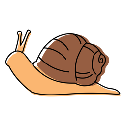 Snail animal color stroke PNG Design