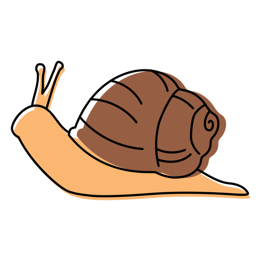 Snail animal color stroke PNG Design