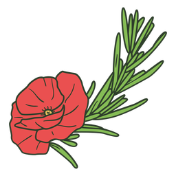 Anzac day red flower color stroke