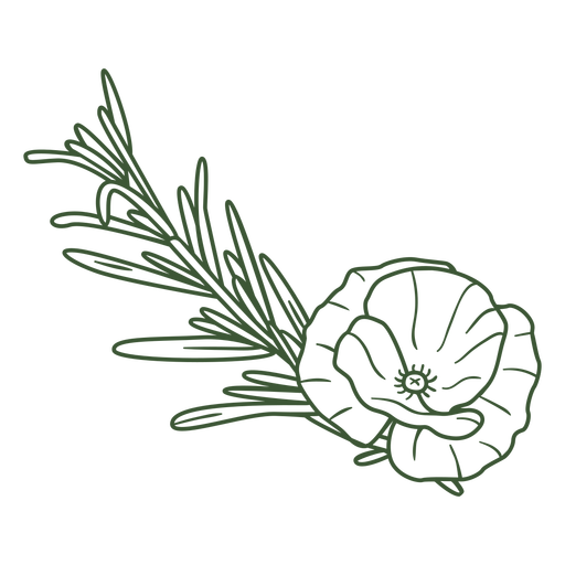 Flower and leaves anzac day PNG Design