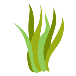 Nature-Botanical-FlatWash-VinylColor-CR - 1 Diseño PNG