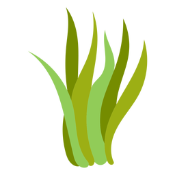 Seagrass Flat PNG & SVG Design For T-Shirts