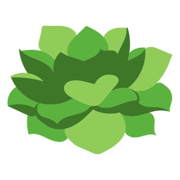 Nature-Botanical-FlatWash-VinylColor-CR - 4 Desenho PNG