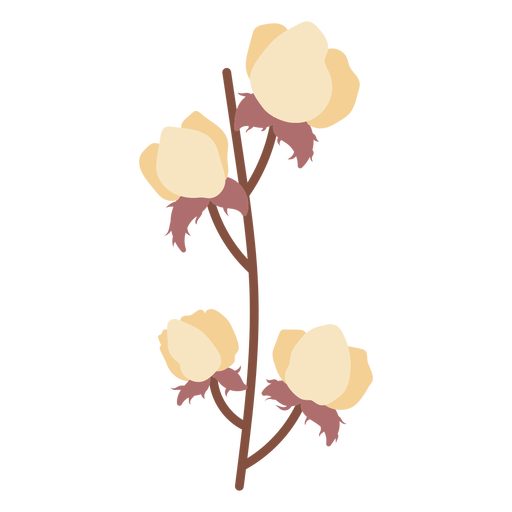 Cotton flowers flat PNG Design