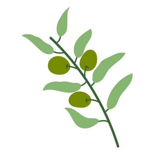 Olive branch and leaves PNG Design