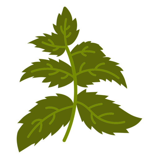 Small plant flat PNG Design