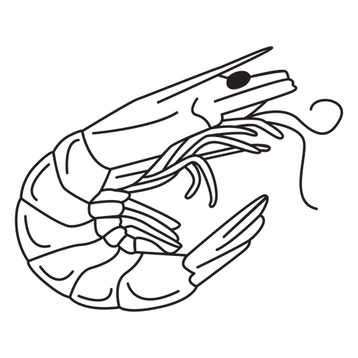 Shrimp curled stroke