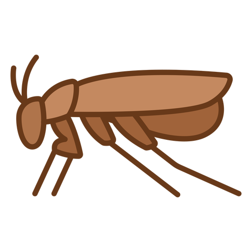 Side flea simple color stroke PNG Design