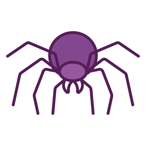 Frontal spider geometric color stroke PNG Design