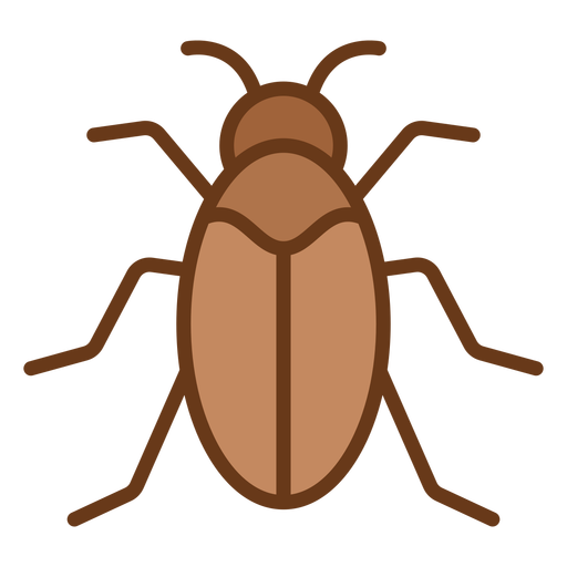 Simple beetle from top geometric color stroke PNG Design