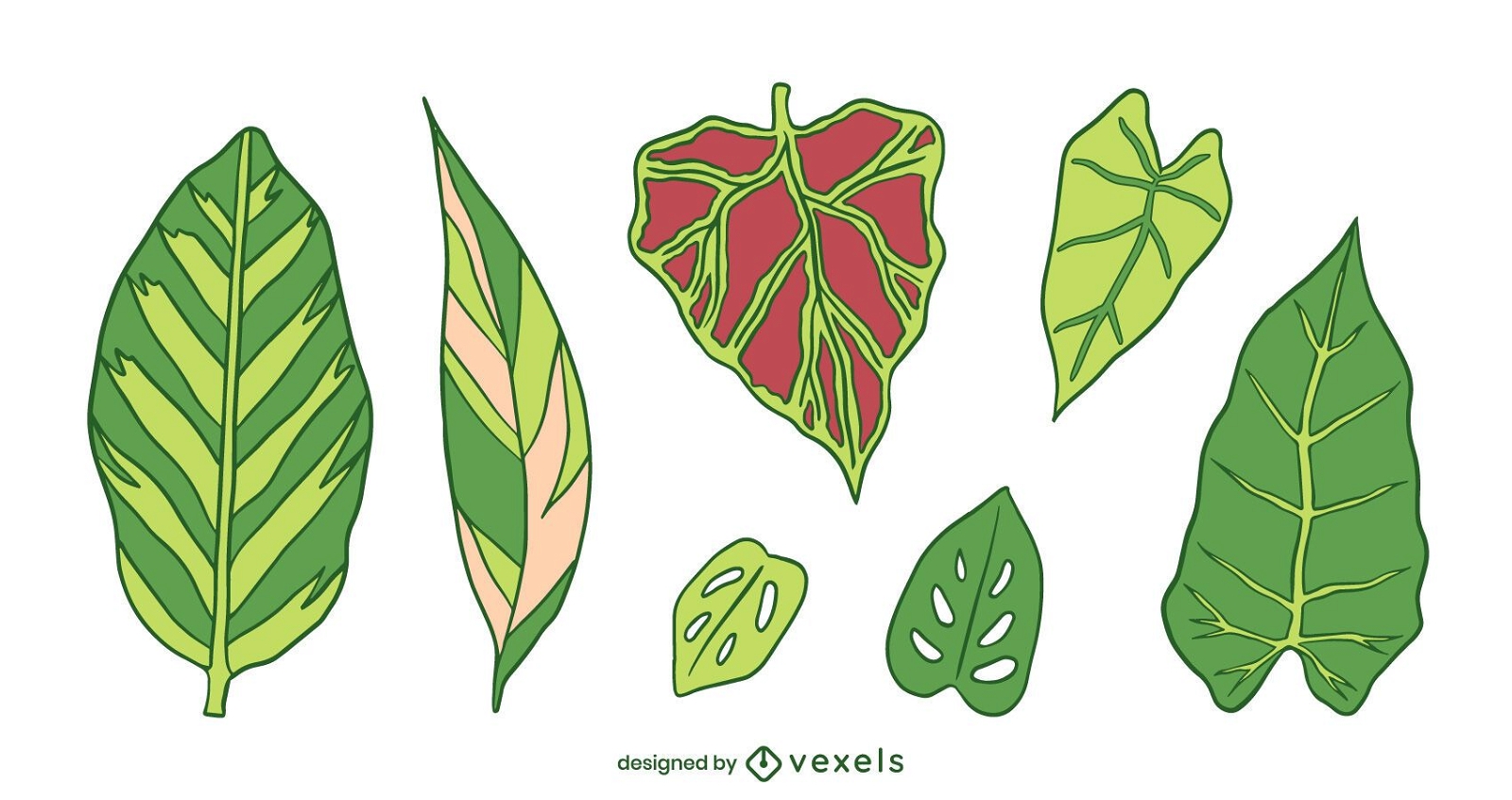 Conjunto de plantas de naturaleza de hojas verdes