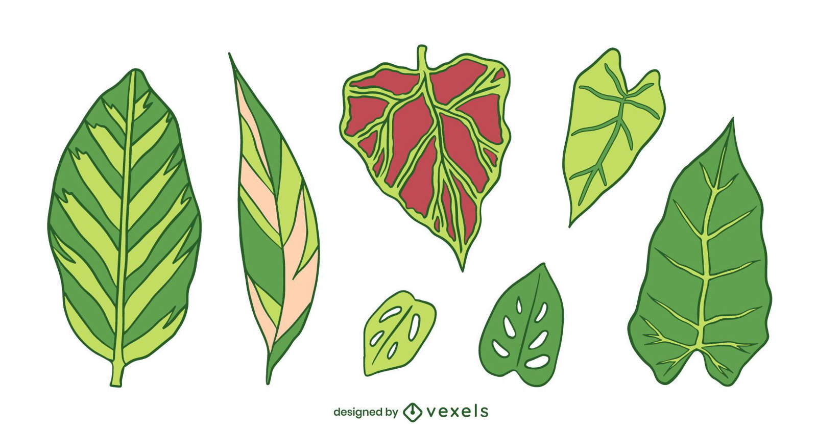 Conjunto de plantas naturais de folhas verdes