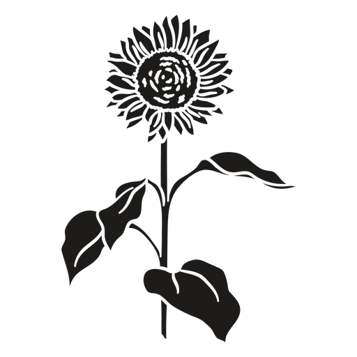 Designs Png De Sunflowers Para Camisetas E Merch