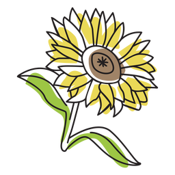 Pretty sunflower color stroke