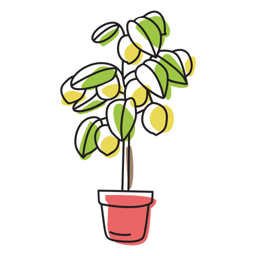 Lemon tree color stroke PNG Design