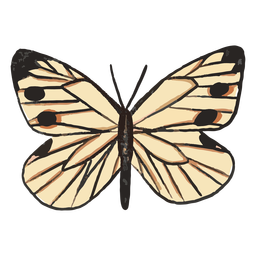 Mariposas Especies - 2 Transparent PNG