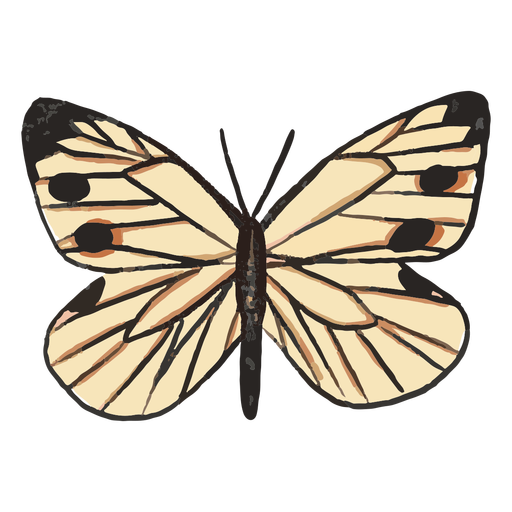SchmetterlingeSpezies - 2 PNG-Design