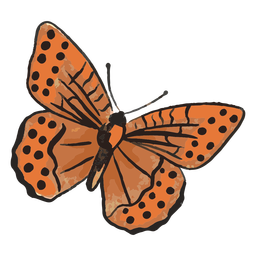 ButterfliesSpecies - 3 Desenho PNG