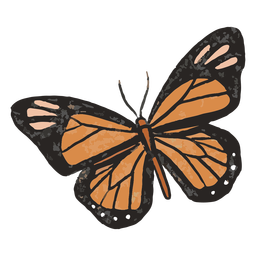 Orange butterfly illustration Transparent PNG