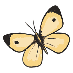 ButterfliesSpecies - 7 Desenho PNG