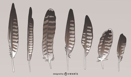Falcon wild bird feather styles set