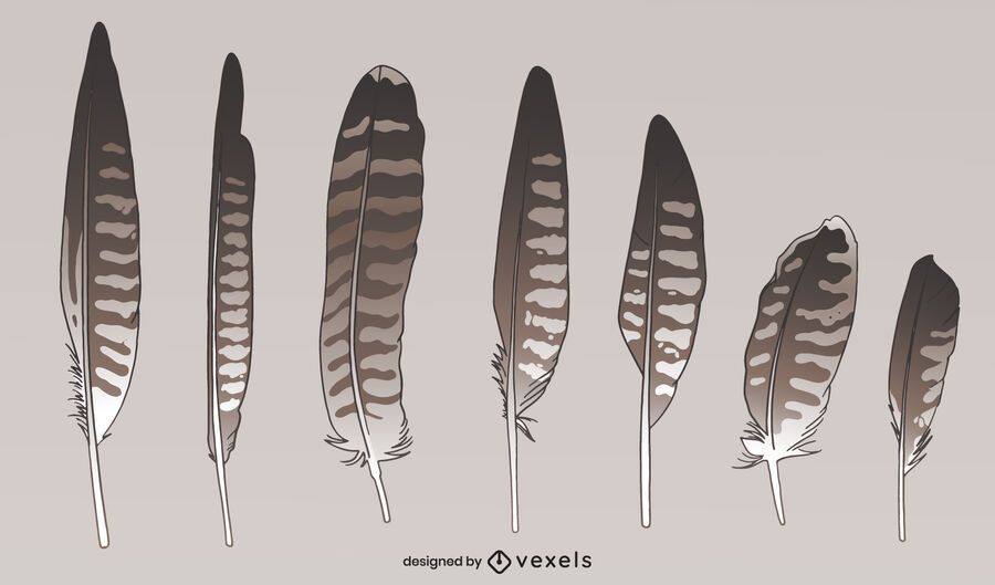 Falcon wild bird feather styles set Falcon wild bird feather styles set