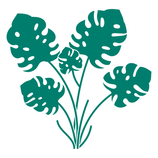 Monstera plant cut out PNG Design