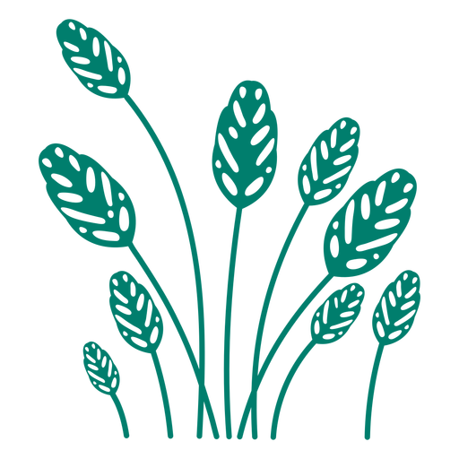 Adansonii plant silhouette PNG Design