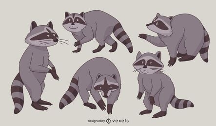 Conjunto de caracteres de poses de animales de mapache