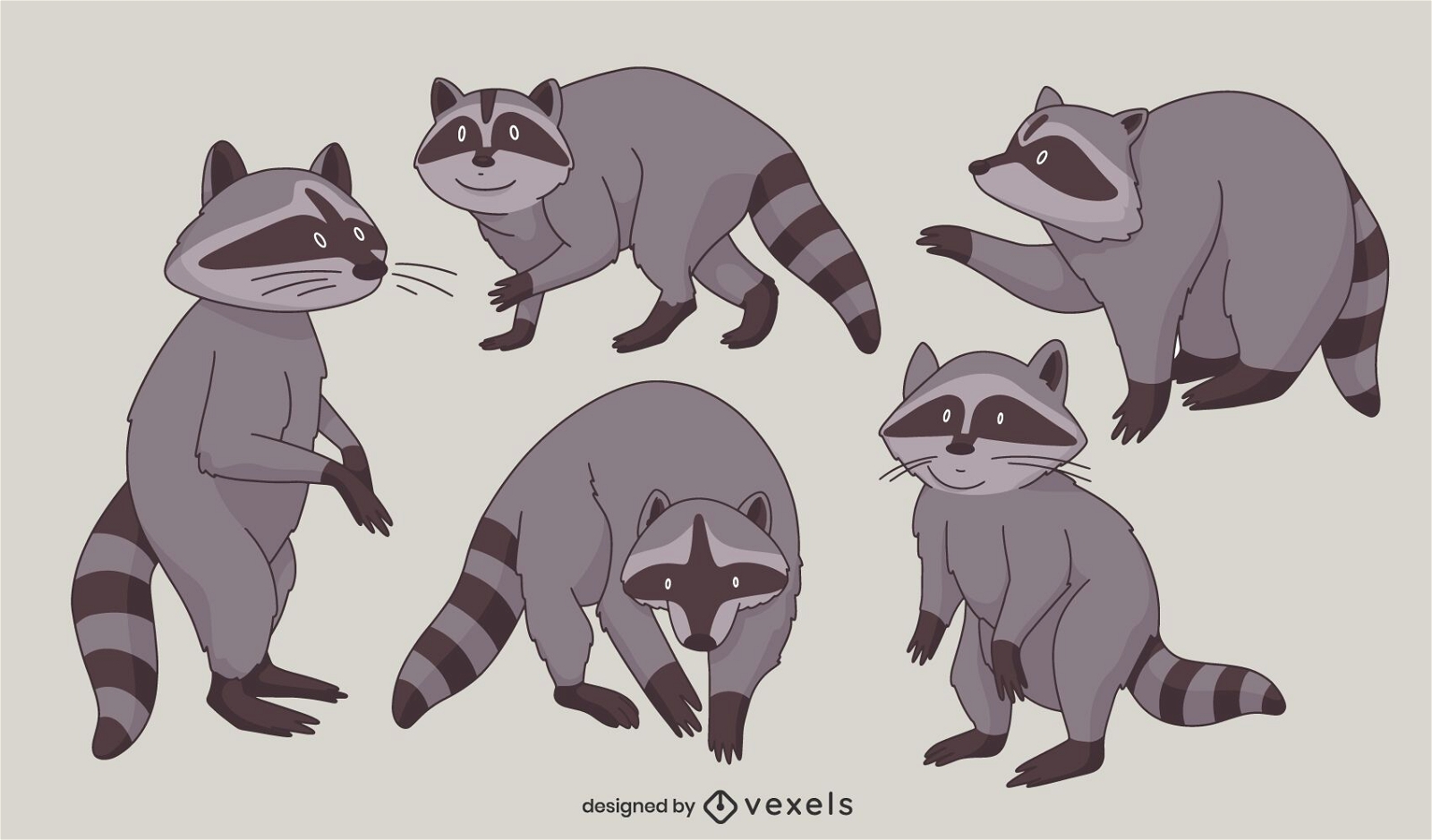 Raccoon animal poses character set