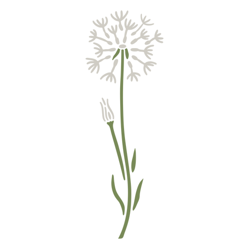 Dandelion flat  PNG Design