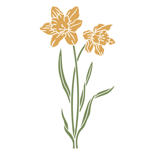 Daffodil flowers cut out PNG Design