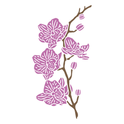 Phlox flowers cut out Transparent PNG