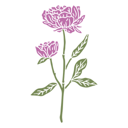 NatureBotanicalVintageEtchPrint - 9 Diseño PNG