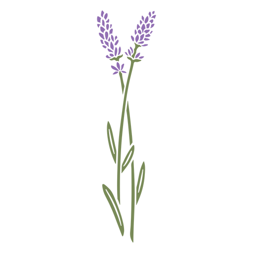 Lavender flowers stem cut out PNG Design