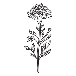 Pretty wild flower stroke PNG Design