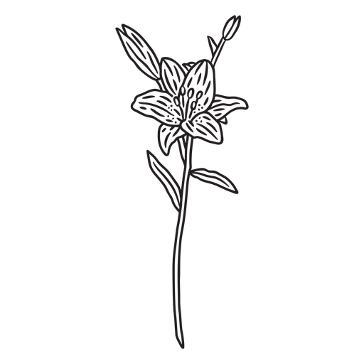 Stem with flower stroke PNG Design